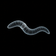 Coin image for 0x2703295342C5914e0292ADFDB612618Ce24105d1