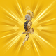 Coin image for 0x9B30969561b9Ae1909490807375e09b3cE417777