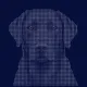 Coin image for 12GinmbNhZRGvWd6CuJK7nZXSUN7LPWrURk12Vcfpump