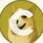 Coin image for 12KxYyMfHCy6rDUFuLHDEqDw9bmutH8yFjvP3wTypump