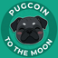 Coin image for 12PmvrP41KTr6KTqn26tyeZBgRs8PtJWDrMCt1Eodhot