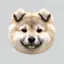 Coin image for 14U2eWXGZFgSuS9d5GkUDLjHjRtjVvsCAdsM3zn4pump
