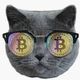 Coin image for 14ef9eyDSzW9vX3zxkLthfdMx2NQ3Js3opL931uSYBTC