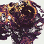 Coin image for 22Wq9wE9yuAW3GvBz75kGXYXTnpzjowvSu4PV4mvfomo