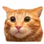 Coin image for 237k2kLLCHLTRKAtmgFkWGVwaPN8UBppYfKenRbhpump