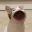 Coin image for 25QaDHcSkc2JAfyTByXQFMFEK9BsypGrkMJjLoFQpump
