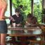 Coin image for 26rjzEAJU3dNBTFLT8zcKh58t3efrG6UjFvBPGATpump