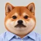 Coin image for 2774x1gX9fWPscSjfwbGDKkRRqBbNR8m9r9fzLcZpump