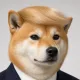 Coin image for 27F4P4hpbDhKFHtMu23bEyr7CEoWDdNg3wwHGzirpump