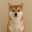 Coin image for 27F6CpDDywYVo5DBkRgWdVKPQbjTTYeXkfQstE4Cpump