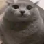 Coin image for 27xYPfDnemCnN2WmditsWrUpb5YZqTwUTLb4QBHMdbEA