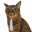 Coin image for 28zdt1WNd6KuHKHf4iTFqYM9P8UckzSbTG11W1k9csuq
