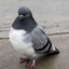 Coin image for 296jkZ8Yxqh4ow2mCHB5XZ3rVjfQ6RY4QwQPC7Mvpump