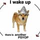 Coin image for 2A5tNsmAzRfT13Yq44fXwKHFqn2PECkREoJbUNVRpump