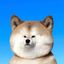 Coin image for 2AXfPwXtqy8KVwWLcHNNHbh9KejZhDb5WhKnoH4Cpump