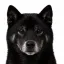 Coin image for 2AfY55AGrud7PnBp2Jdm7nVCRBqqCRSSy8cBhoTMXv2t