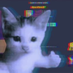 Coin image for 2AmPPNUvdLBWvacMGjSM4BHHYBdjCPjJN8MqFdj7pump