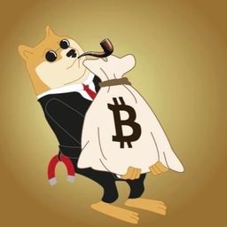 Coin image for 2B9cEbjF2sNmDsfvcgMQGasvP7573GnaTu1s1Dy1pump