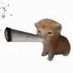 Coin image for 2CqsLSTUdDqifDPXqBgowuwhWXVbf3Je5HmxCiospump