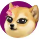 Coin image for 2D5EjJSMdg3Z1fzVWhnbSS5USZFnu18TnuPfaaxGpump