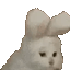 Coin image for 2DXQZrpb4CtTkbvwgYYDXbuXVryBudyjMs94nVS2pump