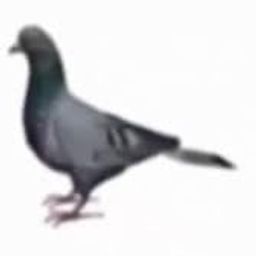 Coin image for 2EKEm8xmNG3jWAjVAnDAu5DHzWCngCyMR6mWVWebpump