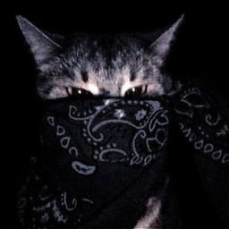 Coin image for 2F3uwjcRuKgSZXiJGHAY2PQrmgSNUtZ2vSpbX1cppump