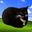 Coin image for 2FcukBJxYkMDsiB7DA2dRHdFCKCBnmJ2CroQ1eQapump