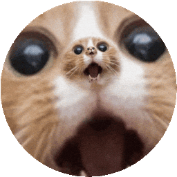 Coin image for 2GtJbodoS8SnfFdNVaRpBywDQuvMrZ2jxAVkW3QXpump