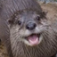 Coin image for 2H1d9zEVNk4R8eTPjSh458is4c3bAaThKjmk8JY14zKQ