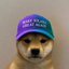 Coin image for 2HaCWrxXmgKLFuAgeDLtBr9fTnyySExYKJ8Am4Wopump
