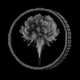 Coin image for 2HfUhr5Evr6SBwDcaWTvGCTCmnYbtWbmggyA364Xpump