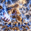 Coin image for 2HiAffpammth1fnoecFfdoBJuAuSGzJPDjwWemJEpump