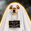 Coin image for 2JWEUZ2Fd9tmdm6MpLFeSMFKsaiZwYQ6CBs3Th23pump