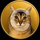Coin image for 2K72vLZc9rab14LFGsrMVRgXU9hQ5fdvFs15dqR3pump