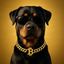 Coin image for 2KE3WxoB43JbA2gBMq4ZsYL5tWGqHsZUMLiFAD7xpump