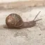 Coin image for 2KWeEYi6gZjopWeomirFEktfcKcBU54zNdyc4aWApump