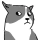 Coin image for 2L8NhXuPbFpHGG4h4ehNffAK5gkt9iWKEm7Uu9HNpump