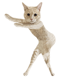 Coin image for 2LLsJEXFVKpEFWmUmxvNtqnoCi7nXCXkTzDJzuT2pump