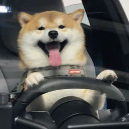 Coin image for 2LnDi6Nq3W2S4wmfgCNVL9WDqQJbe3AwKYsZWRjppump