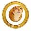 Coin image for 2LyWB5r2UY3bpVYYNWg2hqWwQTWHkLRBBGA7FoNHpump