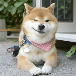 Coin image for 2MngASN8TZxqazFDdwkCFKTfv1EPFYs5U8tSvFiGpump
