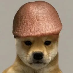 Coin image for 2N5d9U25j6nAkriouFrKawsneBEyPoTk8wDpcTLMpump