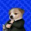 Coin image for 2NMpehYrRwUUMPSzwpieN3d8BBx9ot1kY9uYzakeKGYJ