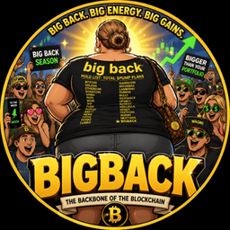 Coin image for 2NZD8sm8gnnXqoBWLsBr8bXDsyzX3SmENjwKBuUqpump