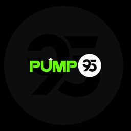 Coin image for 2PHV9Jr6vPqchTgn2zYuuHc56NFBx53ViK6E5wbjpump