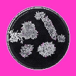 Coin image for 2Q6F7uY3sz9vvM1aQV8z1FCWJU7Y8Y4QjHGR41vNpump