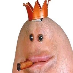 Coin image for 2QLd6tegtSJRsoJhe6sCARbbLuL6qKpMujRed1pEpump