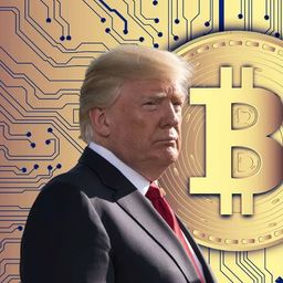 Coin image for 2QxpCPB5d9qbHgQdLTDyb6wJiL1RZwWMpdsPVNm2pump