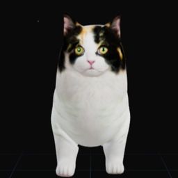 Coin image for 2RKHuqXPdMbcbdsywzwcZf5UzbvzpKgV1dBGPqbdpump